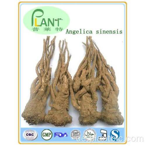 Fabrik liefert reine natürliche Pflanzenextrakte Extrakte Auszug aus Angelica Sinensis